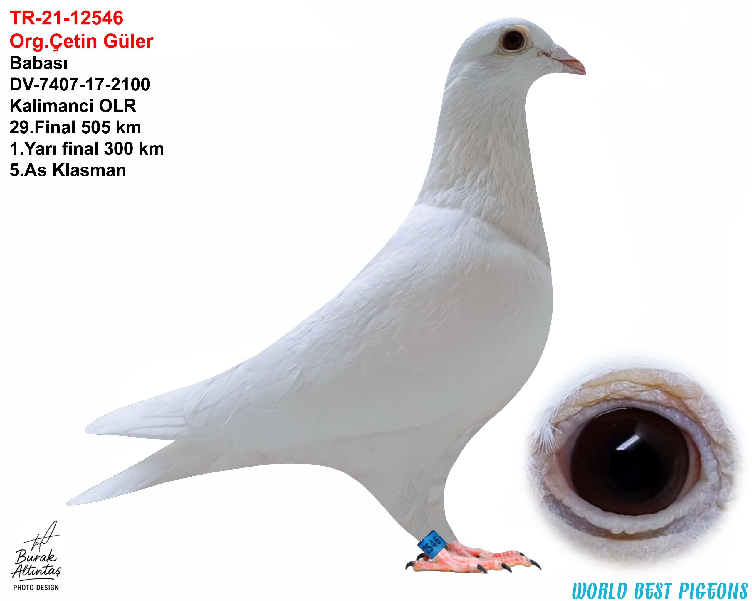 TR 21-12546 ERKEK JAN ARDEN & DELBAR & DE KLAK