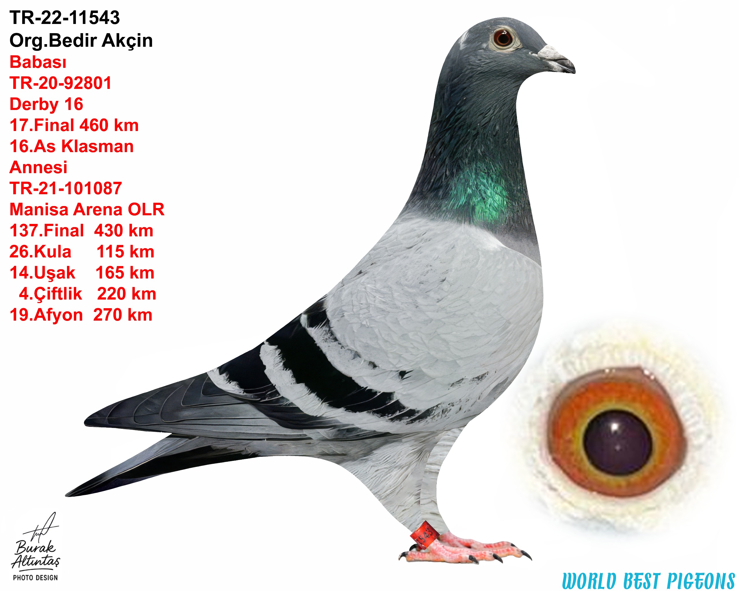 TR 22-11543 ERKEK ANNE VE BABA OLR UÇMUŞTUR.