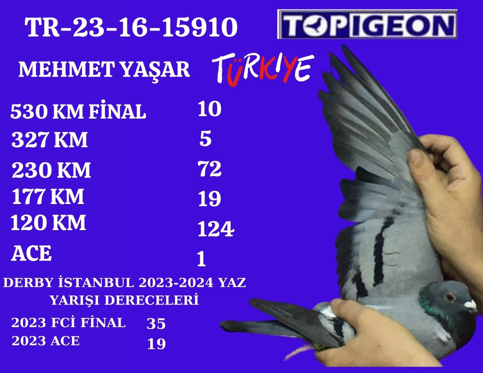 TR-23-16-15910 DİŞİ