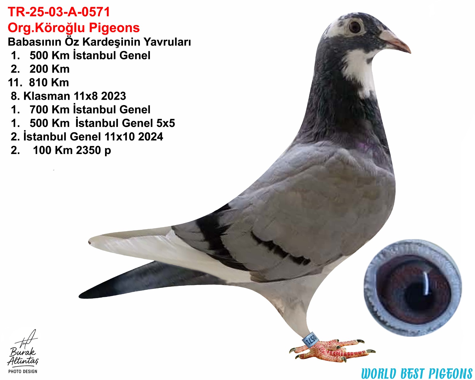 TR 25-03-0571 ERKEK ORJ.EMRE KÖROĞLU GABY VANDENABEELE & BART GEERİNCKX 