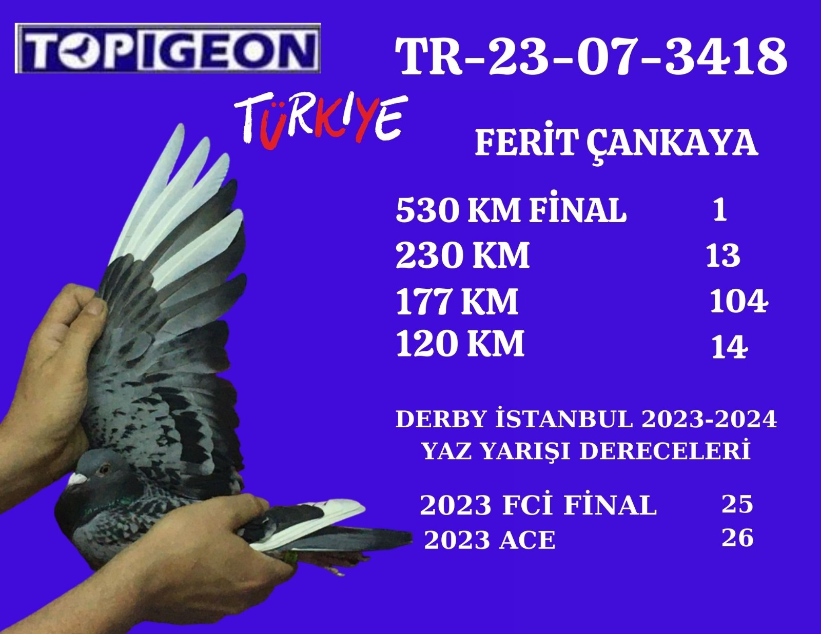 TR-23-07-3418 ERKEK GEERİCKX & GABY