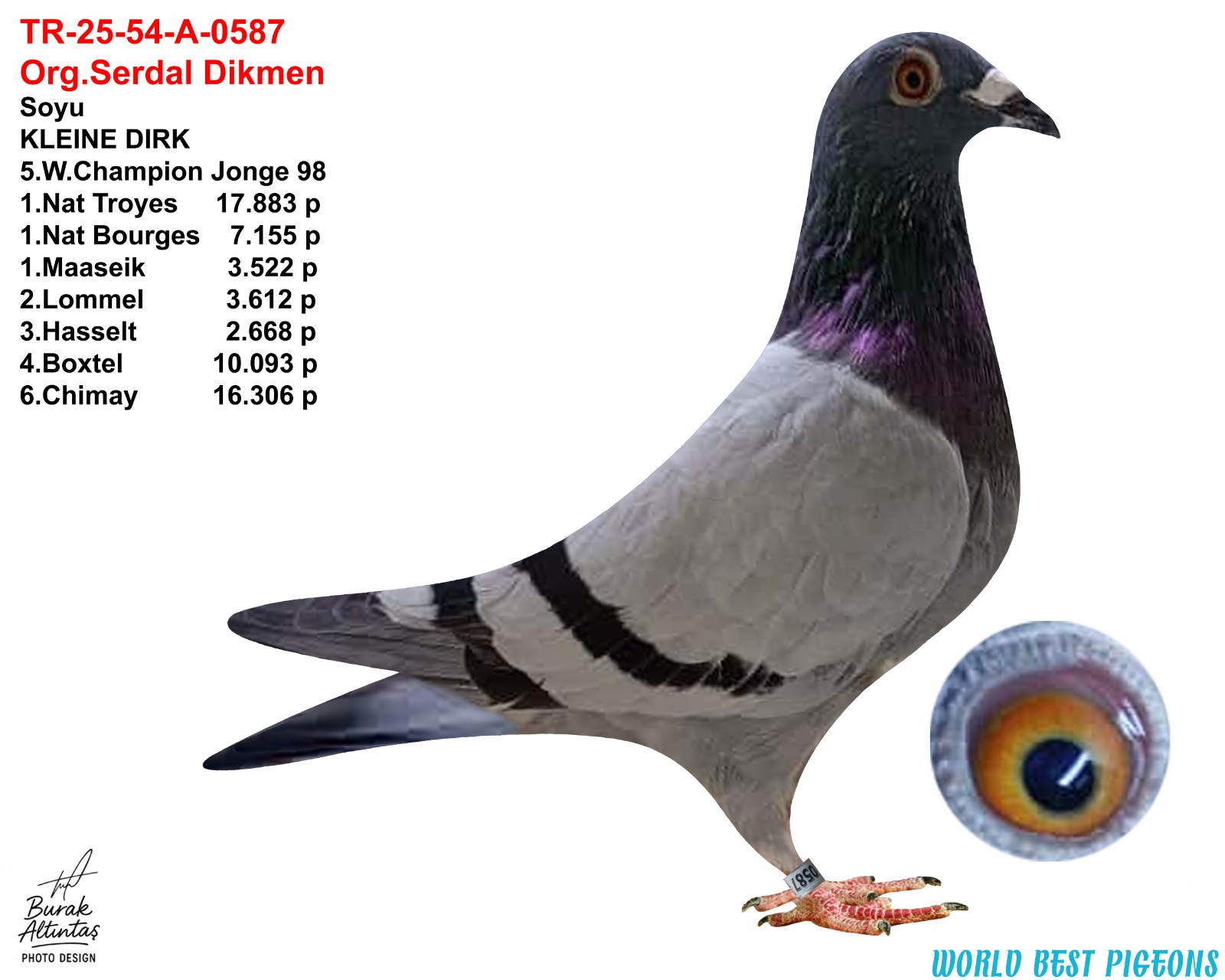 TR 25-54-A-0587 ERKEK ORJ.SERDAL DİKMEN 