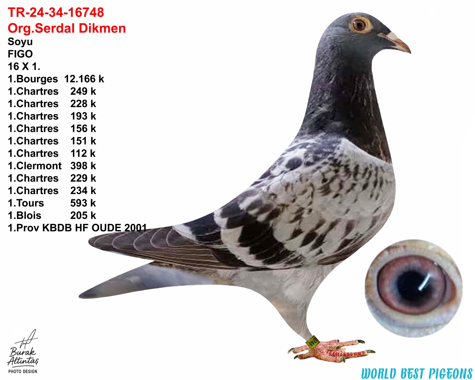 TR 24-34-16748 ERKEK ORJ.SERDAL DİKMEN 