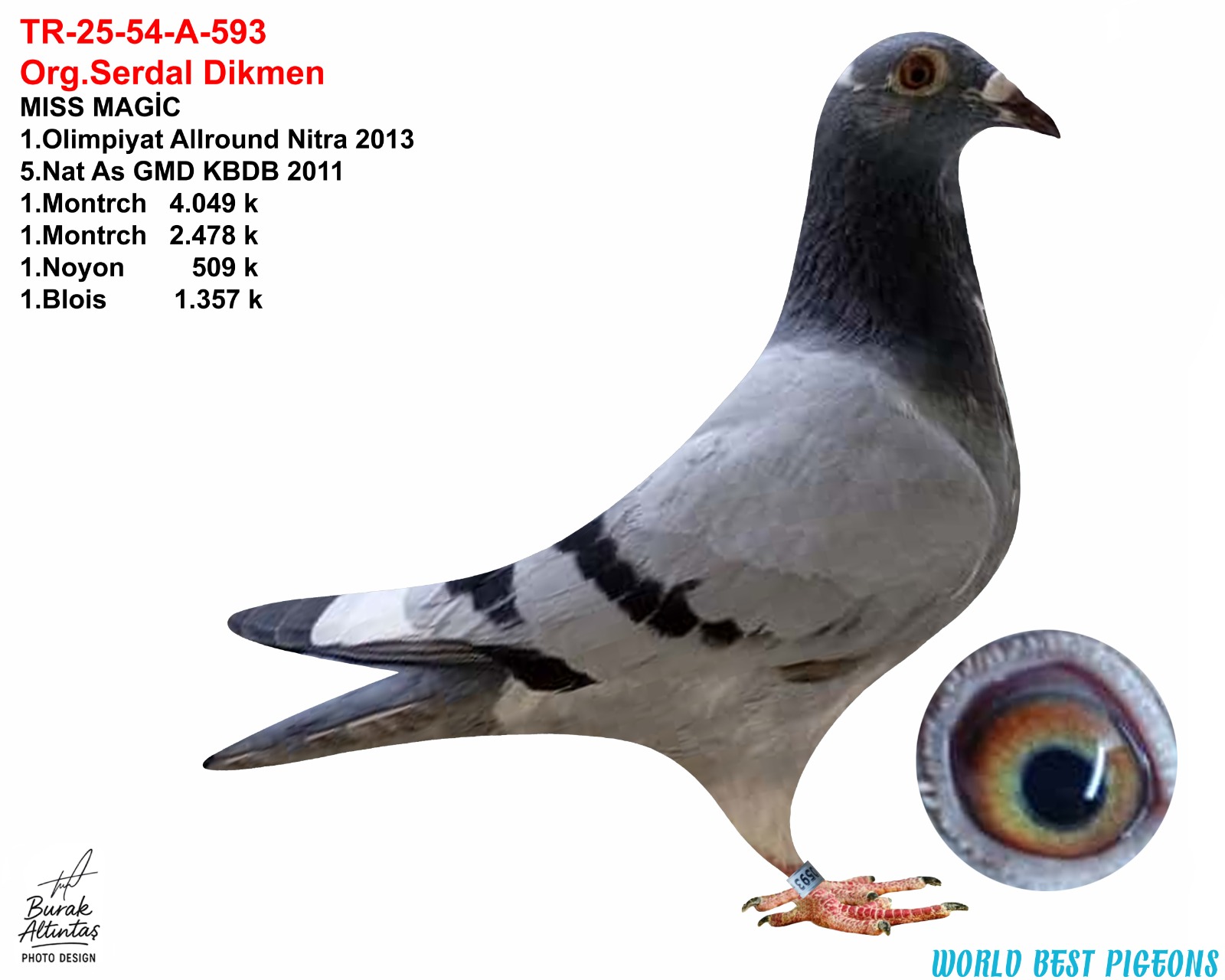 TR 25-54-A-0593 ERKEK ORJ.SERDAL DİKMEN 