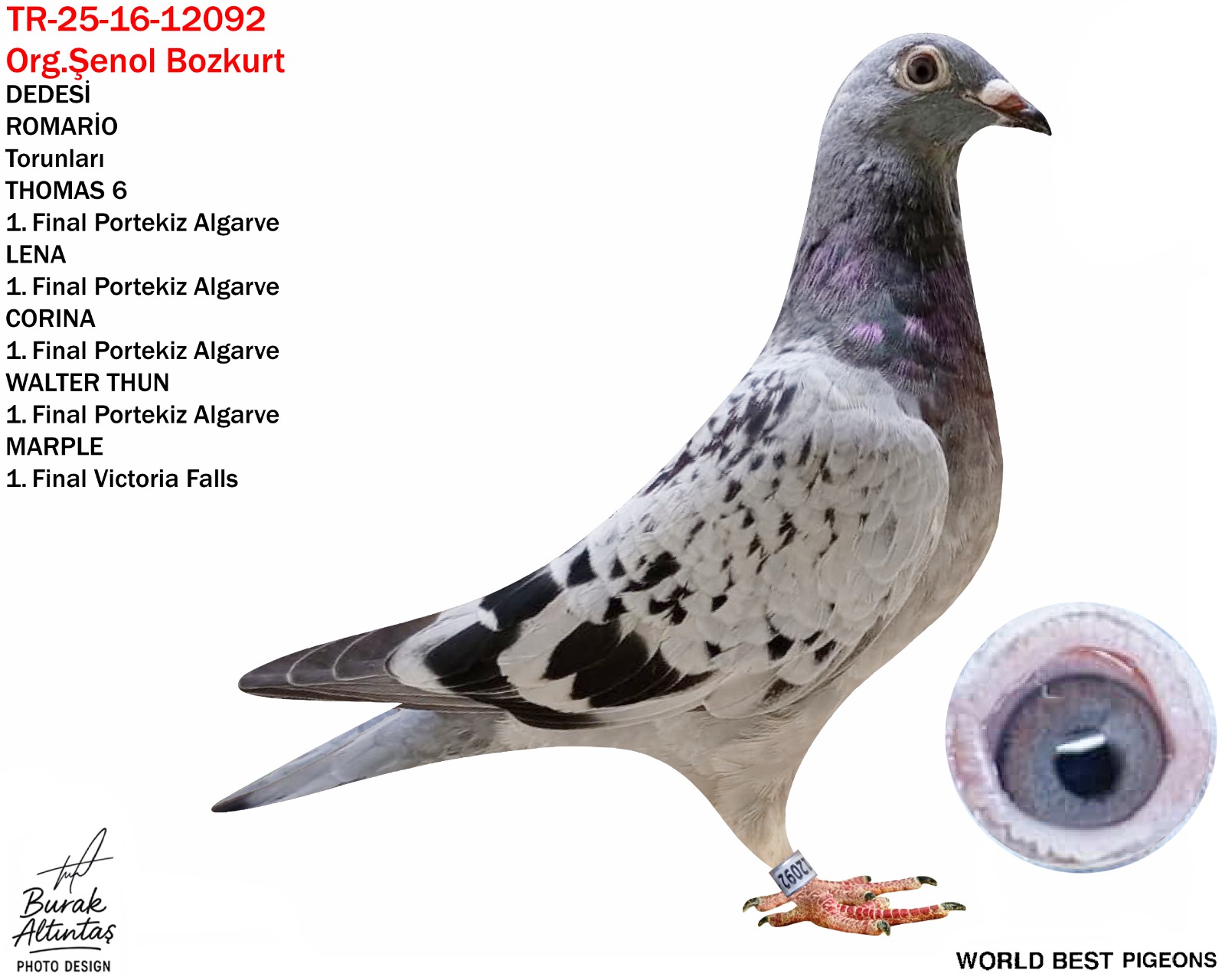 TR 16-25-12092 ERKEK ROMARİO 