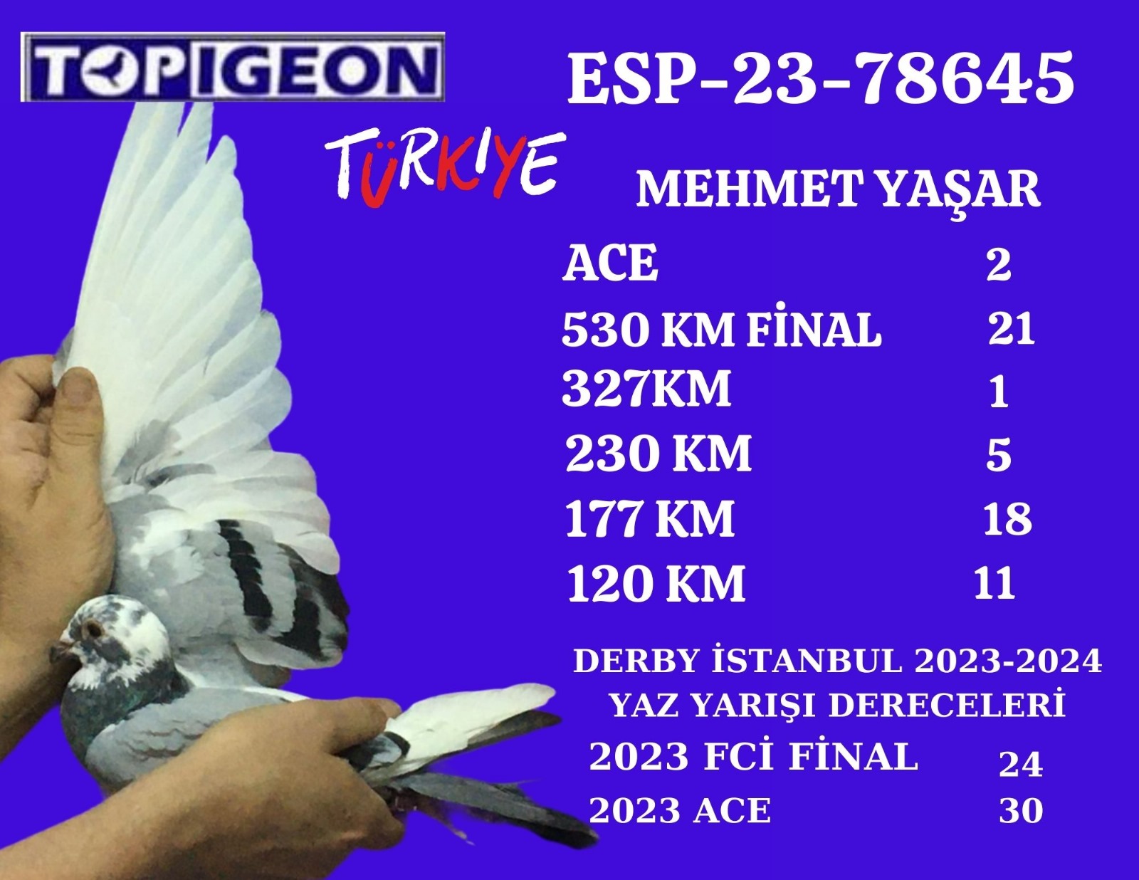 ESP-23-78645 DİŞİ