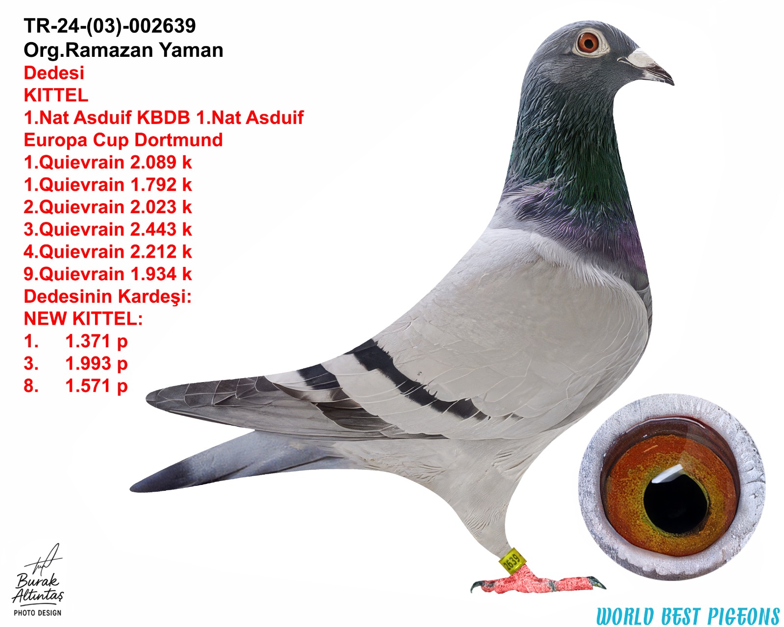 TR 24-03-2639 ERKEK KİTTEL & VOLKAN ŞAYBAK EZBER BOZAN 