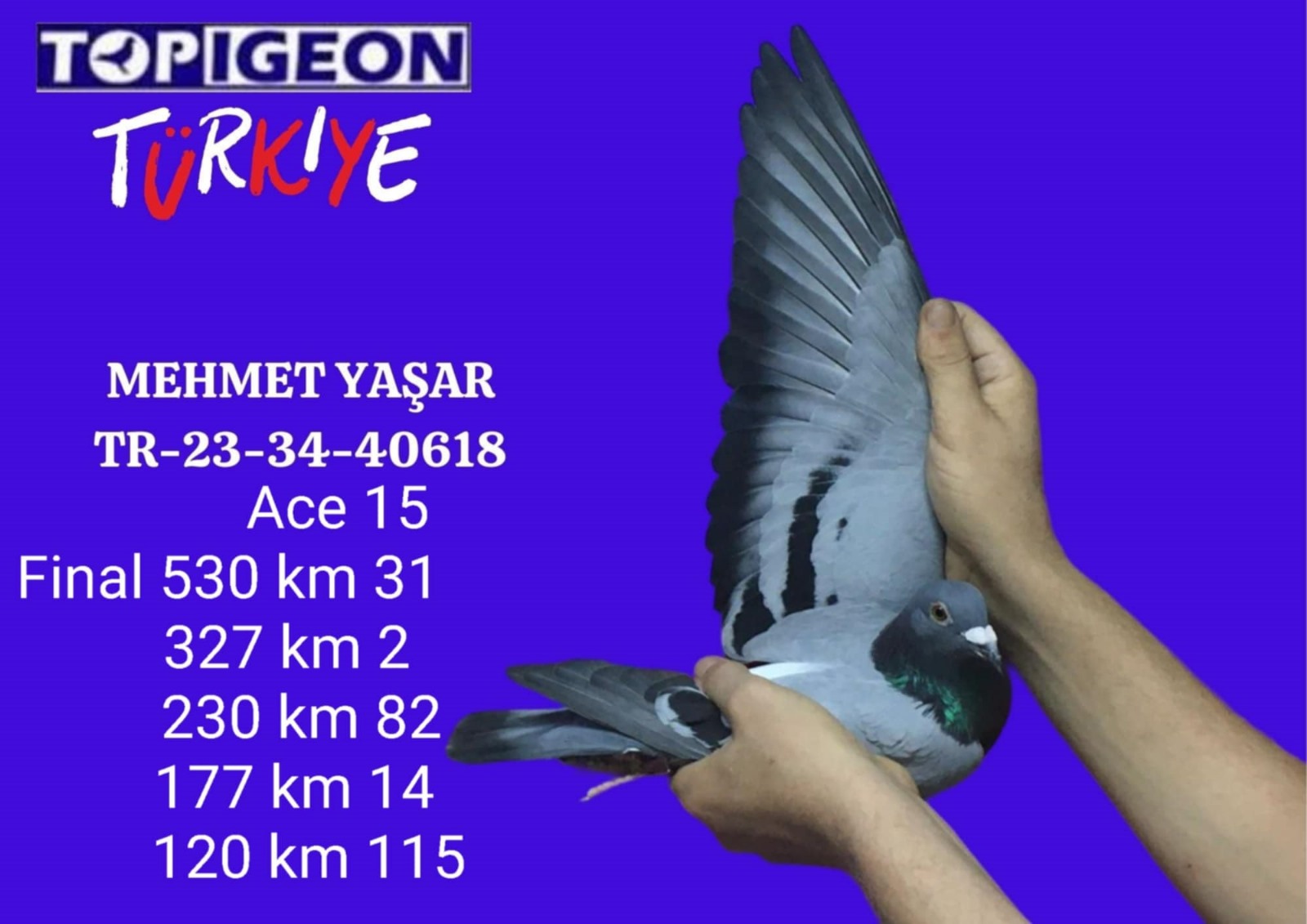 TR 23-34-40618 CİNSİYET BELİRSİZ MEHMET YAŞAR Y.FİNAL 2.FİNAL 31. ACE 15. 