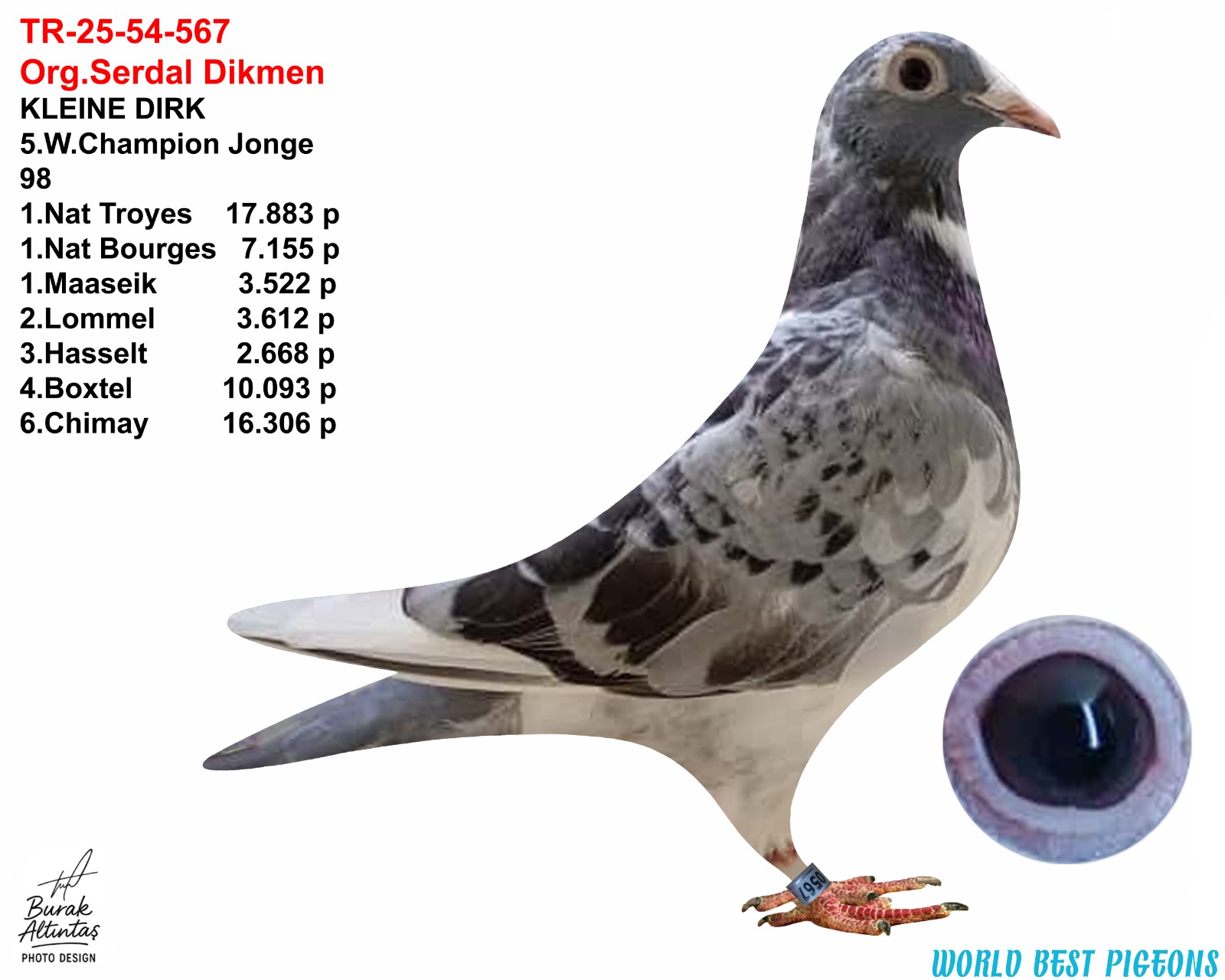 TR 25-54-A-0567 DİŞİ ORJ.SERDAL DİKMEN