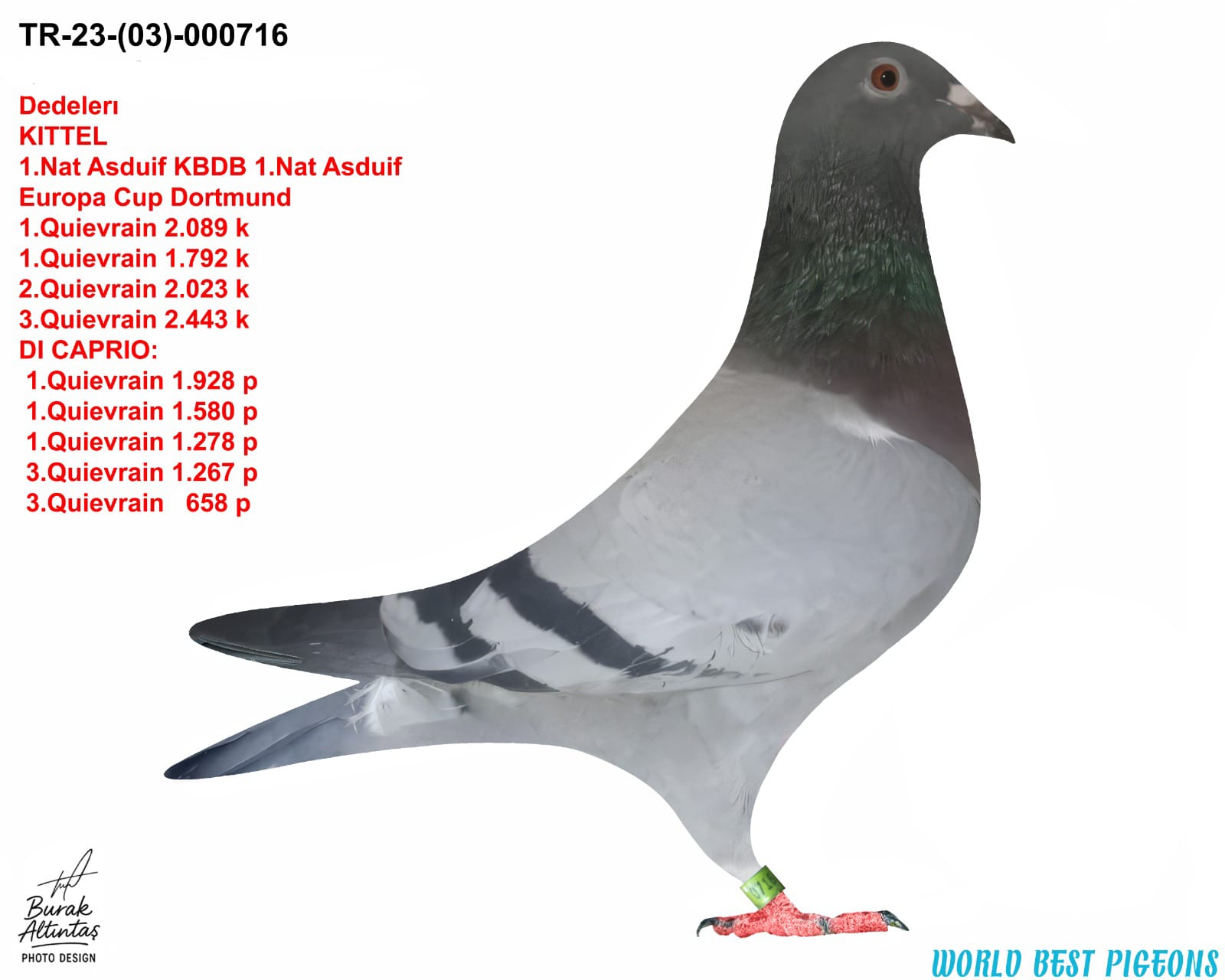 TR 23-03-0716 DİŞİ MENNE & EMİLY DENİS & DESMET MATTHİS 