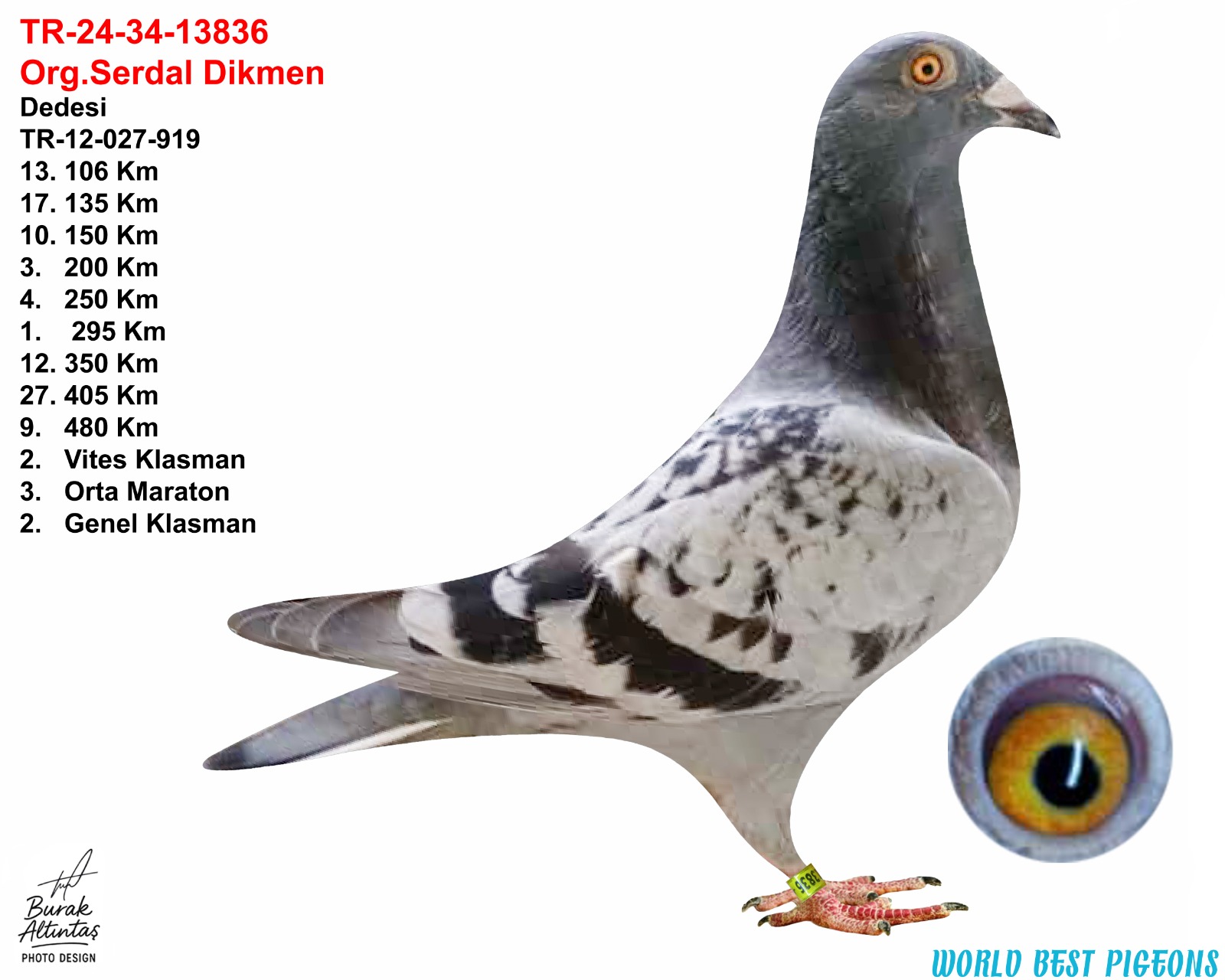 TR 24-34-13836 ERKEK ORJ.SERDAL DİKMEN 