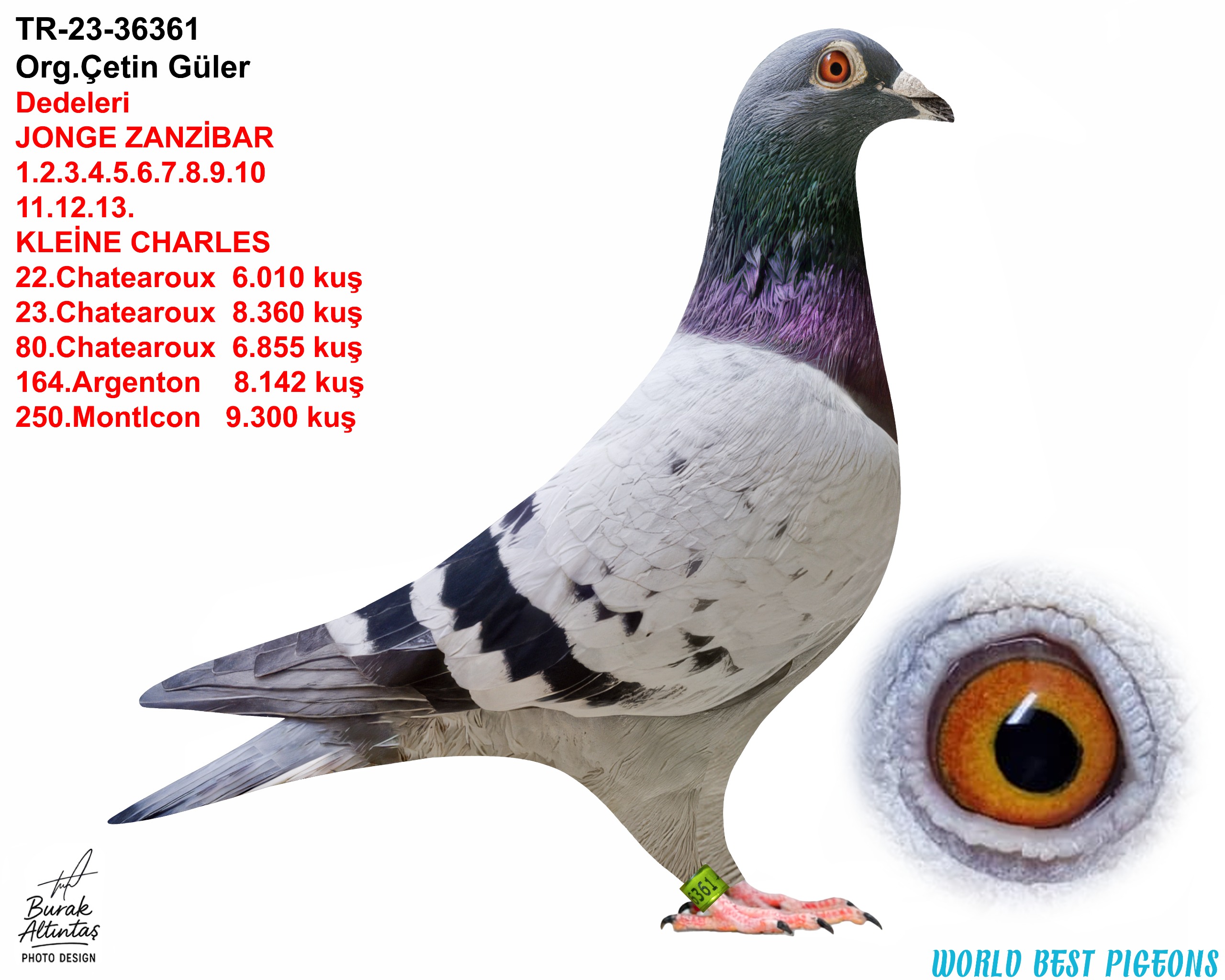 TR 23-34-36361 ERKEK 