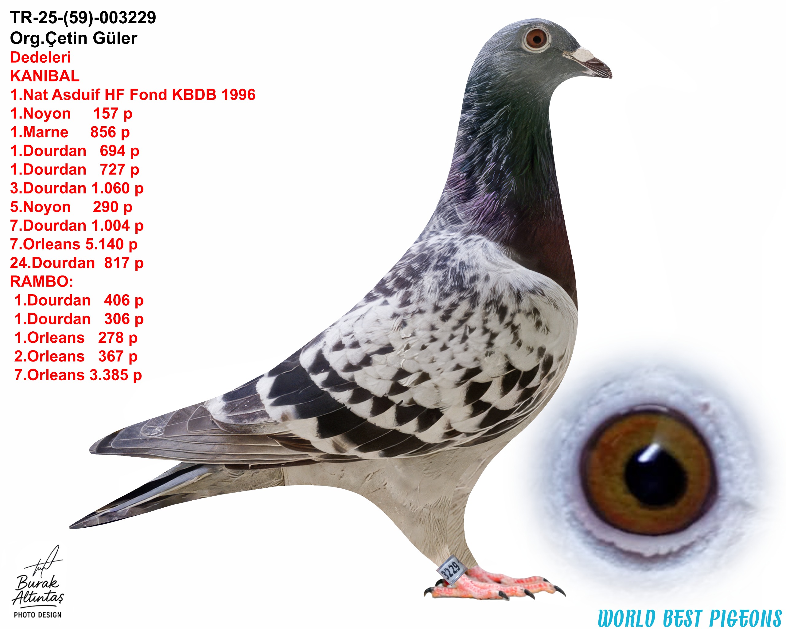 TR 25-59-03229 DİŞİ