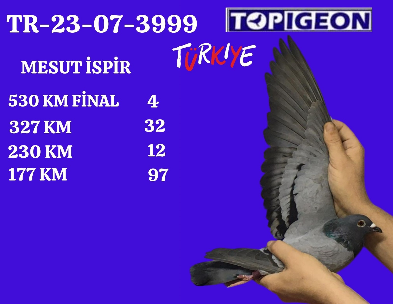 TR-23-07-3999  CİNSİYET BELİRSİZ