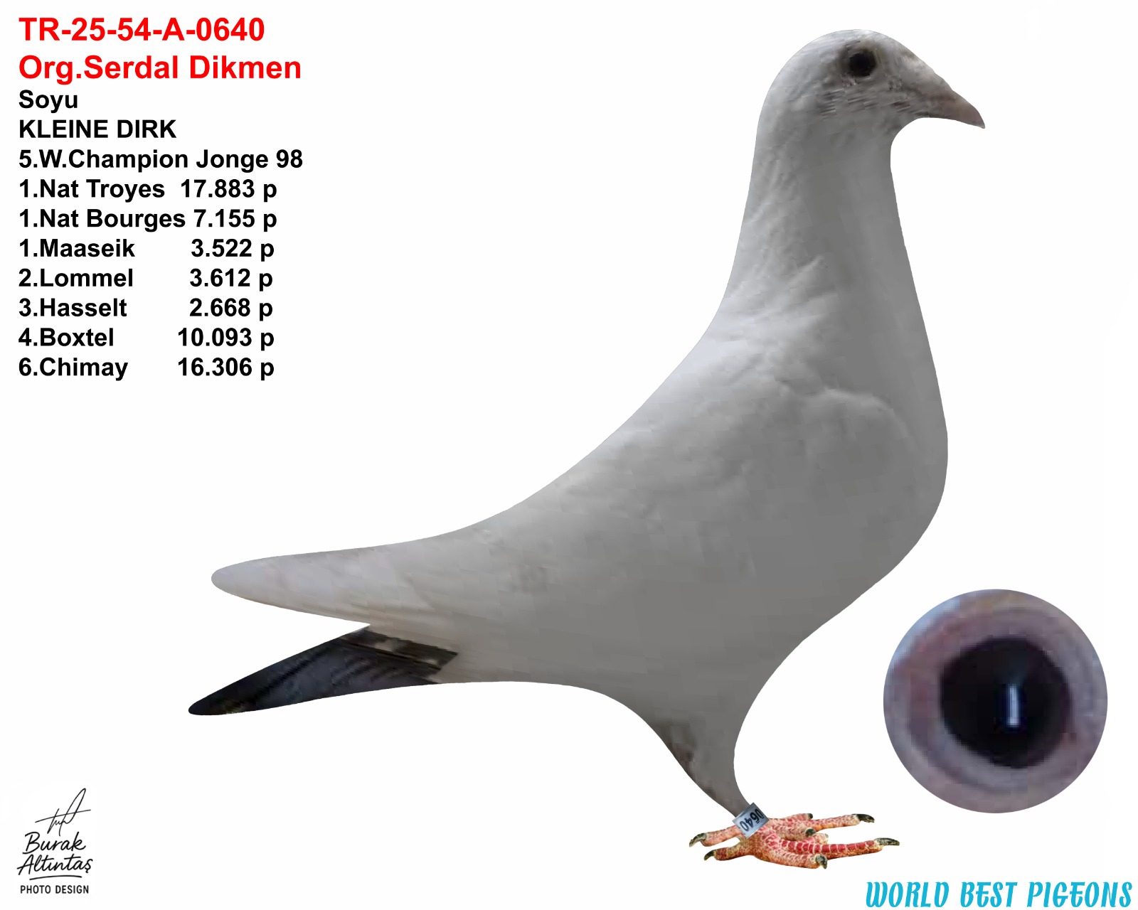 TR 25-54-A-0640 DİŞİ ORJ.SERDAL DİKMEN