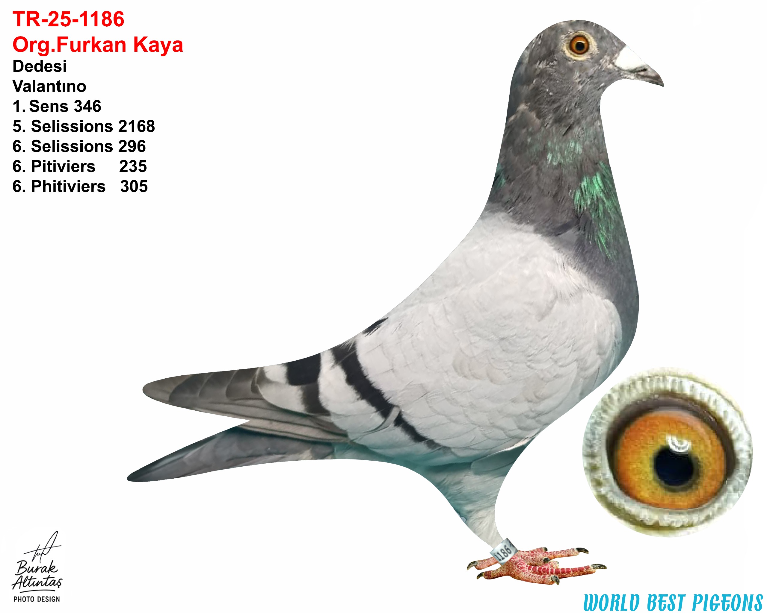 TR 25-1186 ERKEK ORJ.FURKAN KAYA