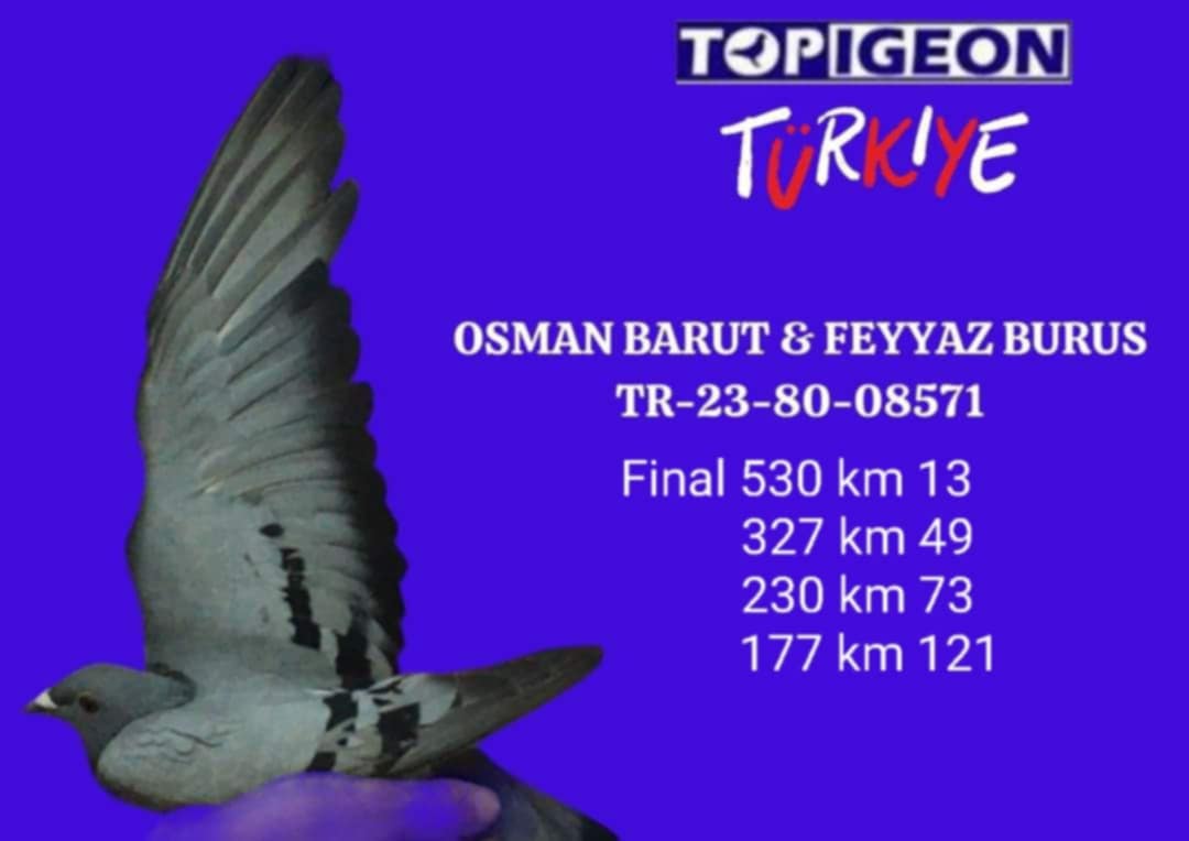 TR 23-80-08571 DİŞİ OSMAN BARUT & FEYYAZ BURUS FİNAL 530KM 13. 