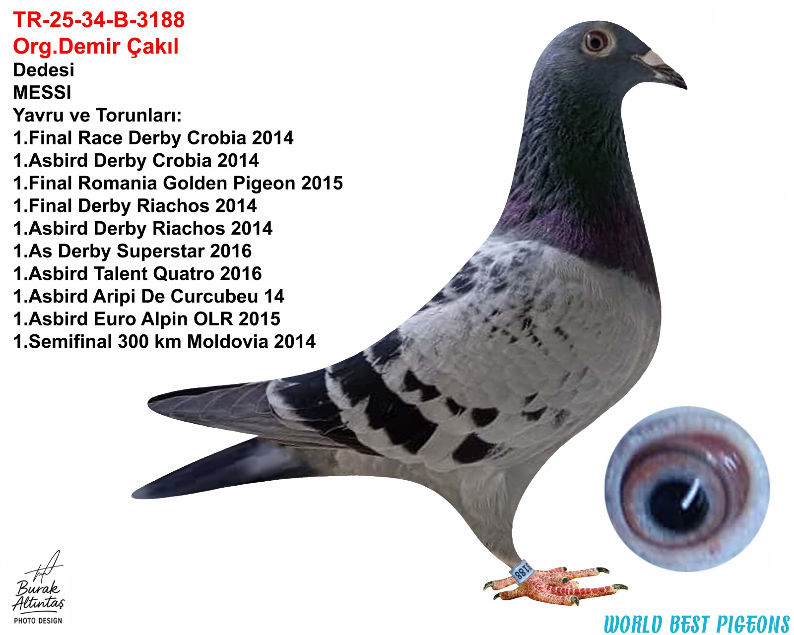 TR 25-34-B-3188 ERKEK ORJ DEMİR ÇAKIL MESSİ & DRAPA 