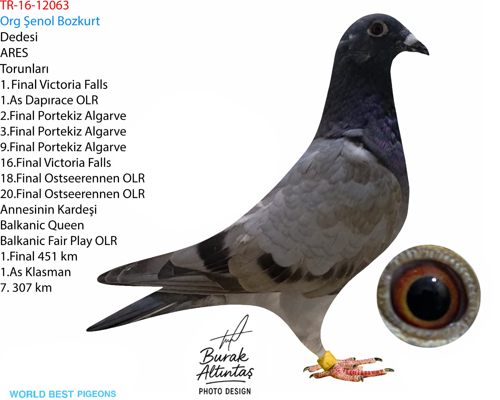 TR 16-25-12063 DİŞİ ZG HELİOS & VAN DEN BULCK KİTTEL & GİLLETTE & BALKANIC QUEEN 