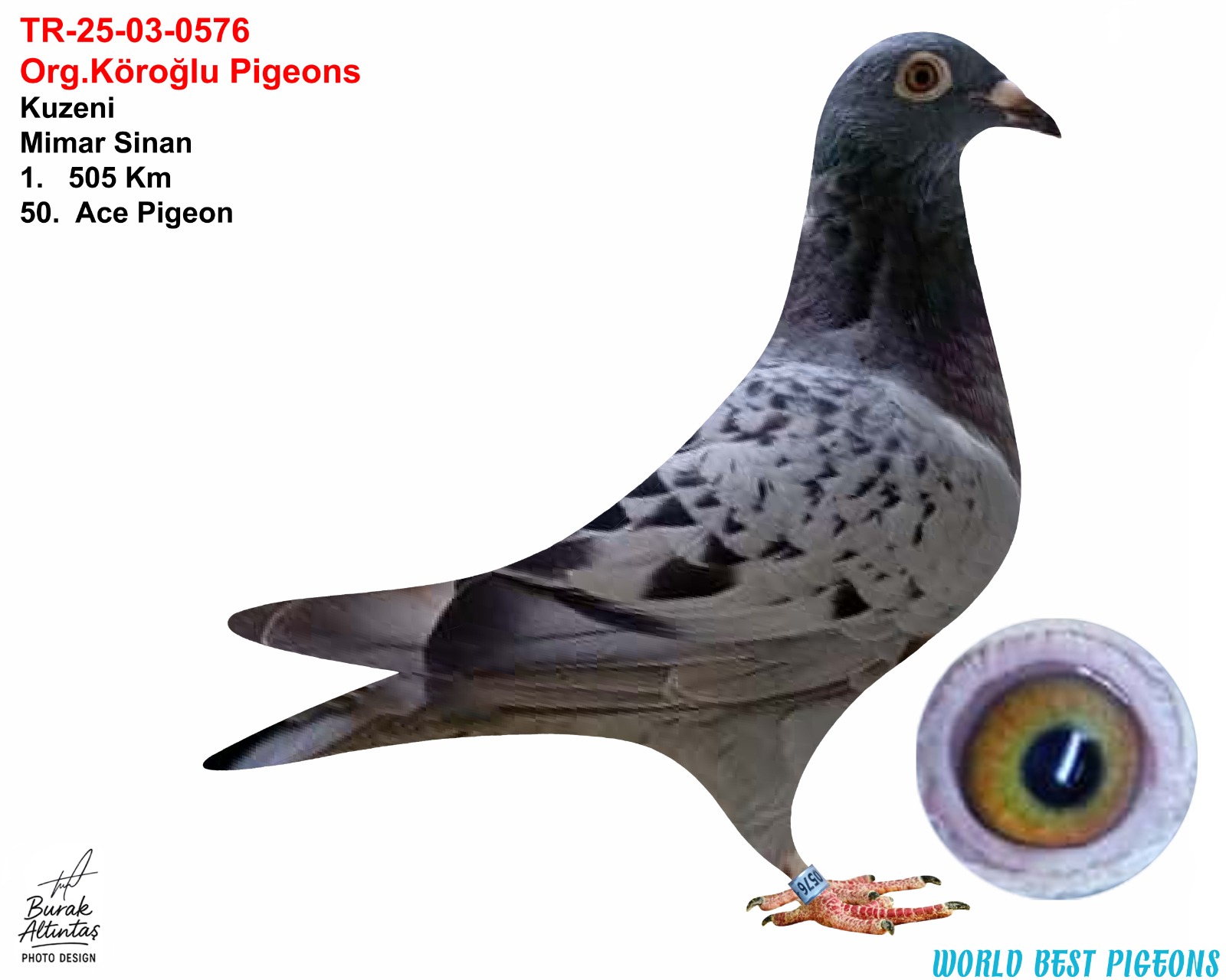TR 25-03-0576 DİSİ ORJ.EMRE KÖROĞLU SG STEFFL & TAŞKAN TENEKE 
