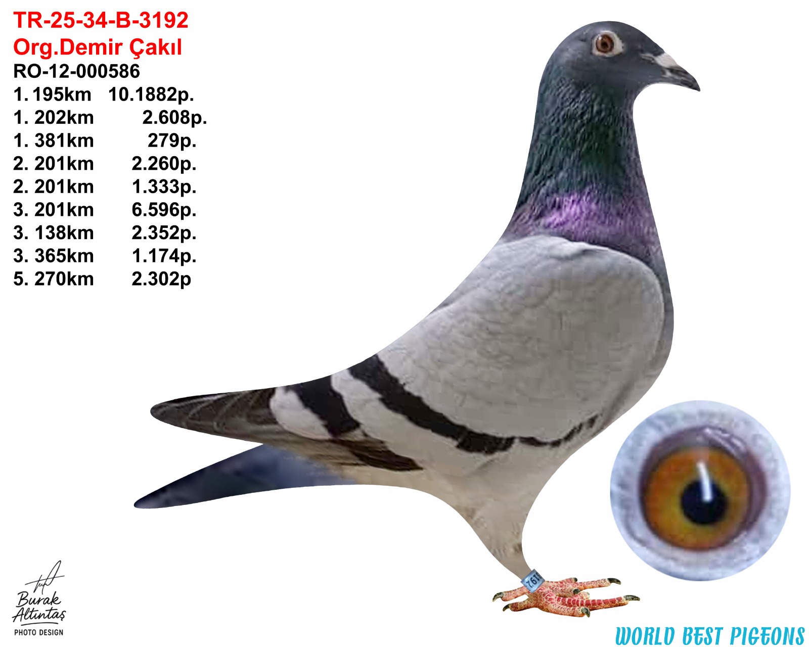 TR 25-34-B-3192 ERKEK ORJ.DEMİR ÇAKIL DE RAPPEN EFSANESİ