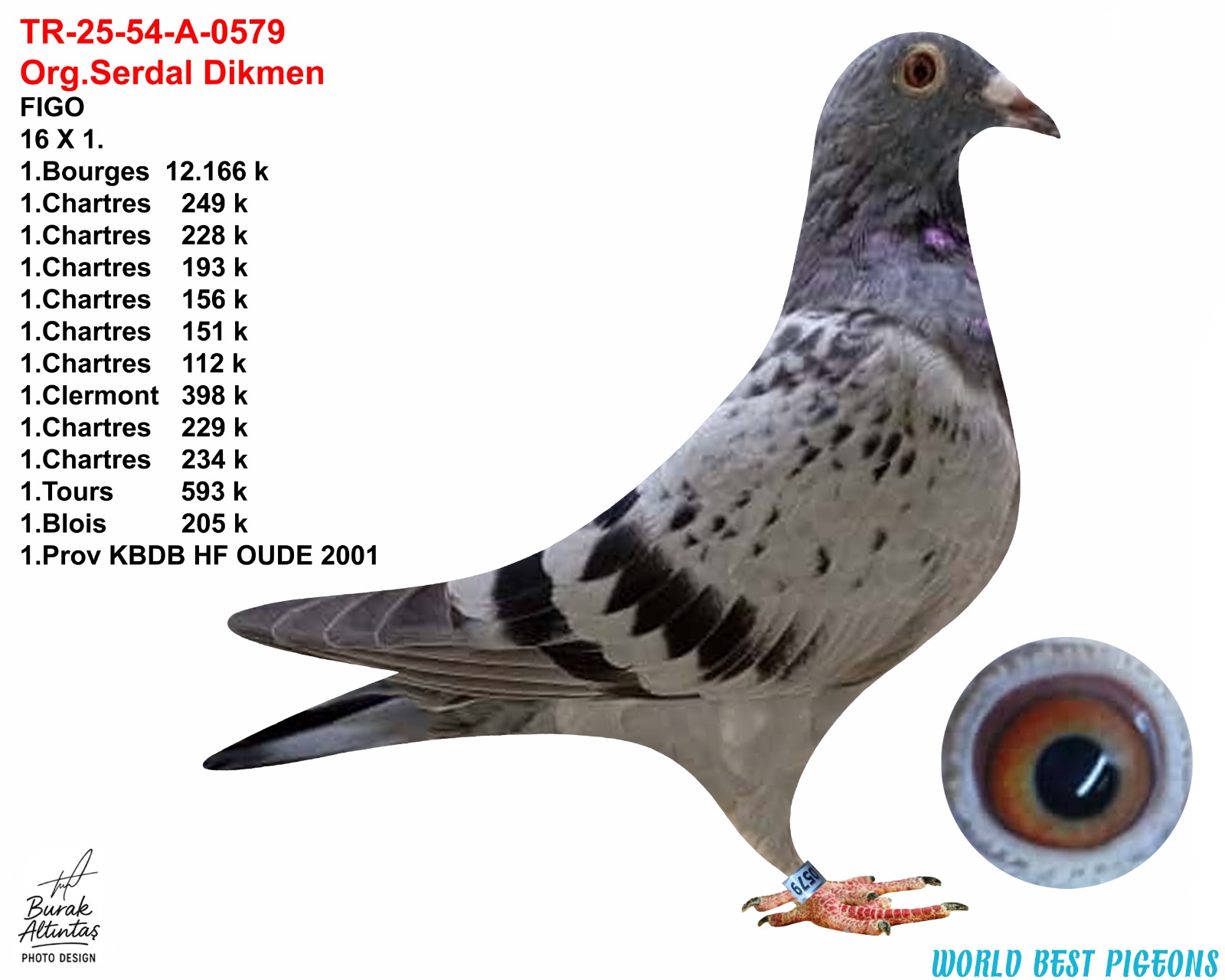 TR 25-54-A-0579 ERKEK ORJ.SERDAL DİKMEN 