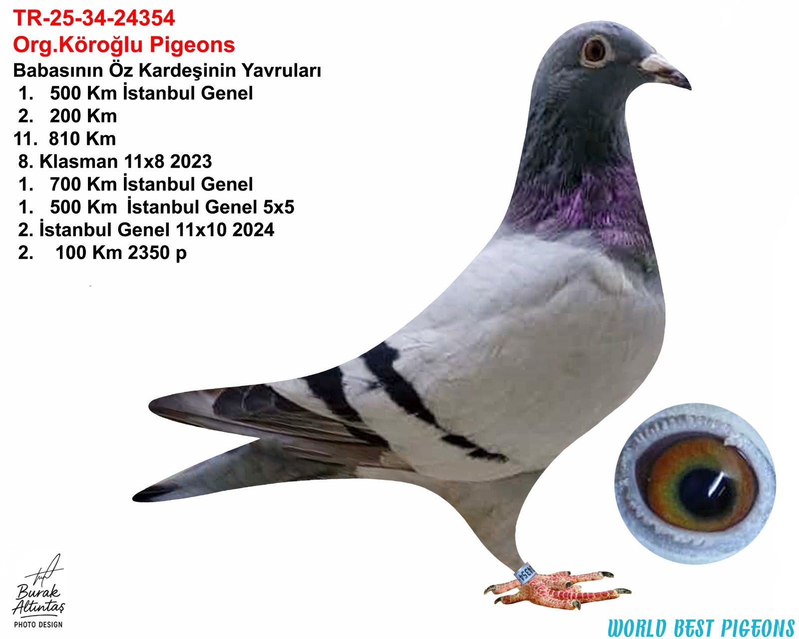 TR 25-34-24354 ERKEK ORJ.EMRE KÖROĞLU GABY VANDENABEELE & ŞABLON