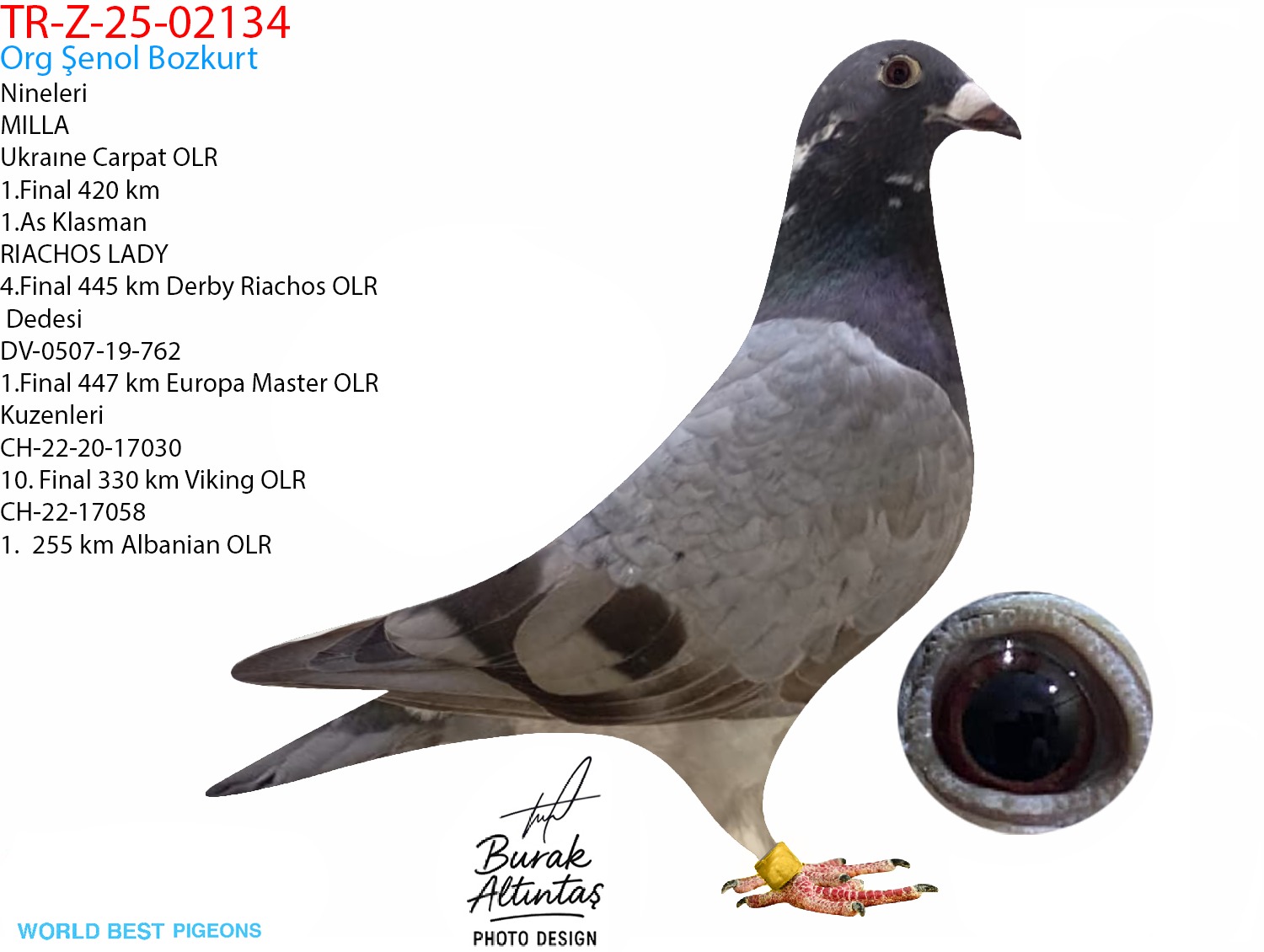 TR Z-25-02134 ERKEK ZG HELİOS & HARDY KRÜGER & A.u.H KLAAS & ROMARİO & SİMON WOLF