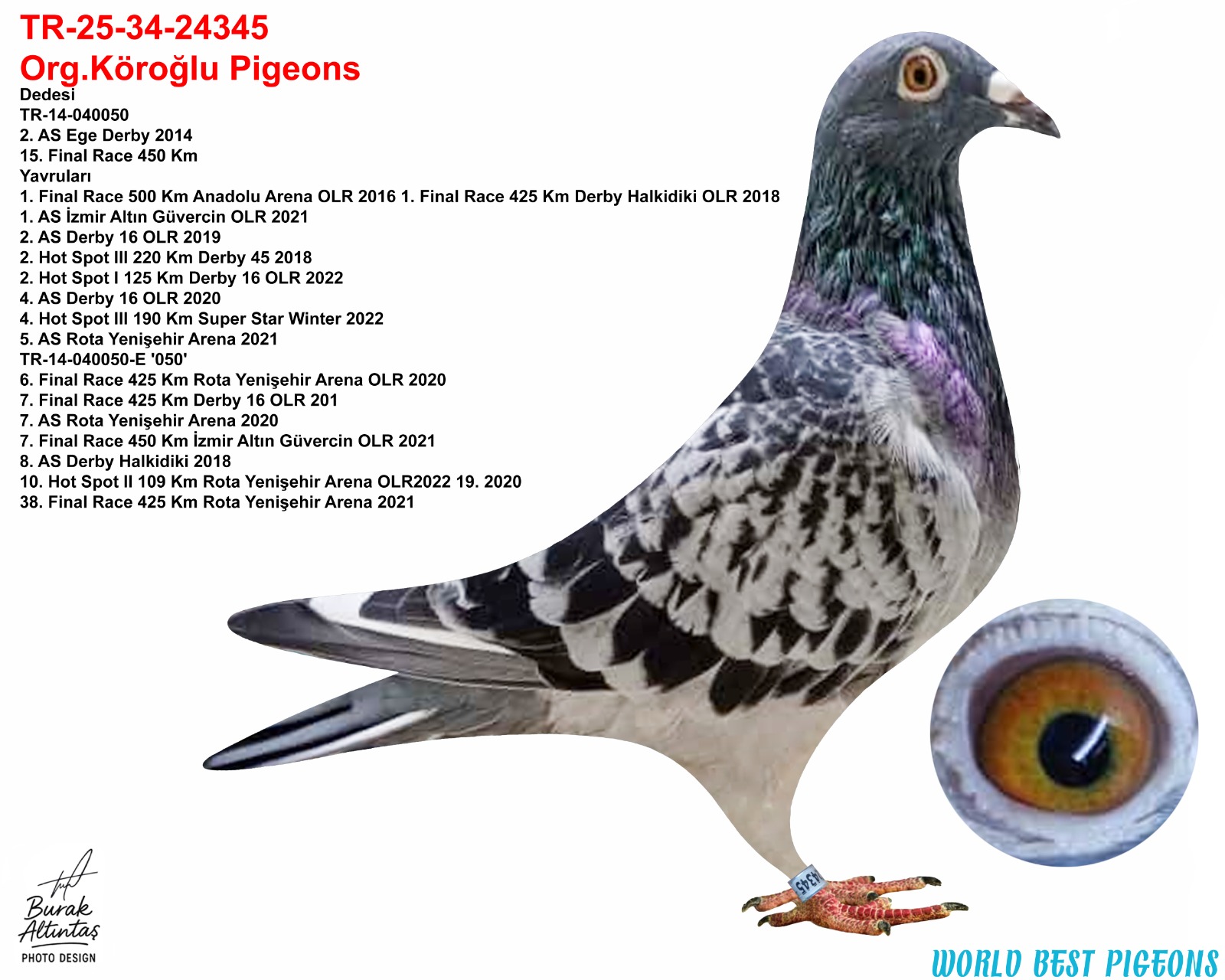 TR 25-34-24345 ERKEK ORJ.EMRE KÖROĞLU GABY VANDENABEELE & DE RİJK WALTER & SG STEFFL & ALGARVE GİANT 